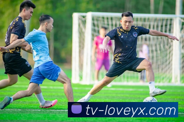 爱游戏平台生态图